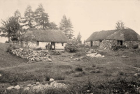 Croit ann an Cille Chuimein2